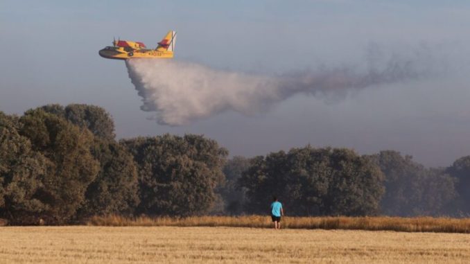 El incendio de Paredes de Monte (Palencia) alcanza el monte El Viejo de la capital